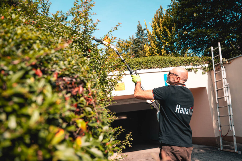 Hecke schneiden